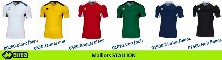 PALETTE ERREA - Maillot STALLION Polyester sublimé