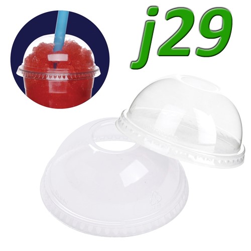 J29