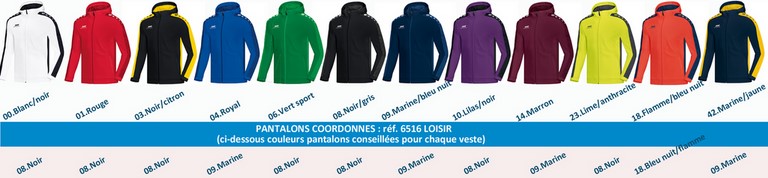 PALETTE JAKO ligne STRIKER: VESTE à CAPUCHE STRIKER Réf.6816