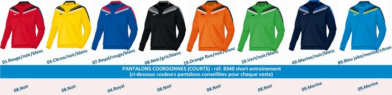 PALETTE JAKO ligne PRO: SHORT 3/4 ENTRAINEMENT PRO Réf.8340