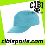 RESULT RC0850 RC080X 080.34  HOUTIN 5 PANEL PRINTERS CAP